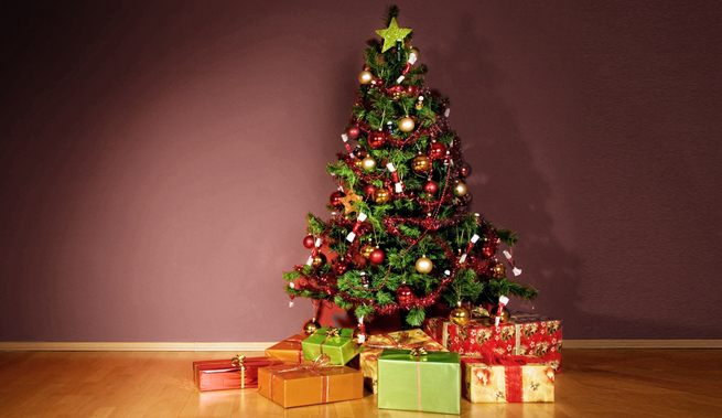 Qual o significado da árvore de Natal?…